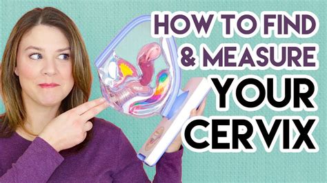 Empty your bladder before you begin. . How to look at your own cervix without a speculum